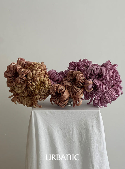 Flowers by Centa Risbon