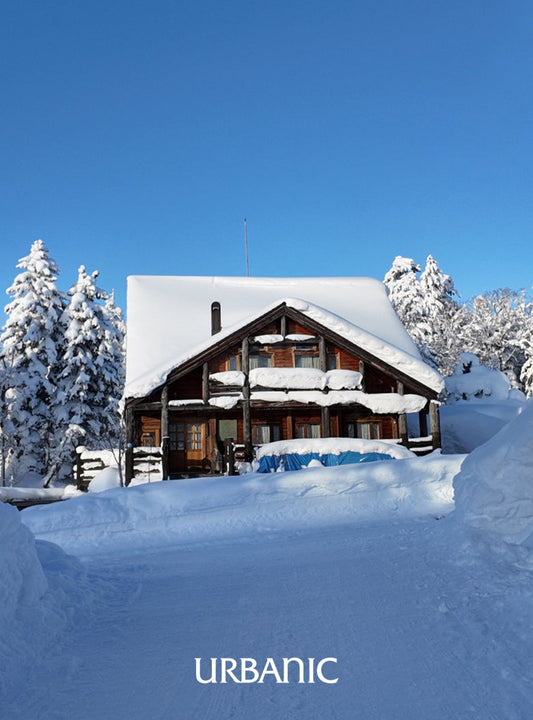 Winter Journey