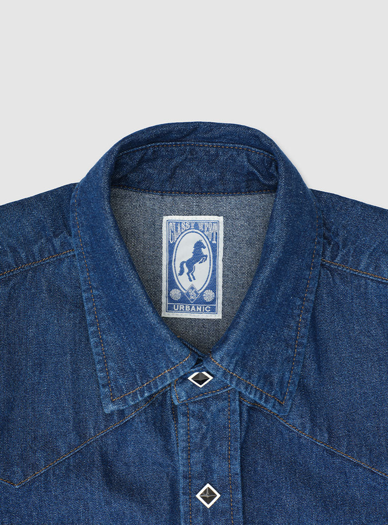 Sawtooth Western Shirt