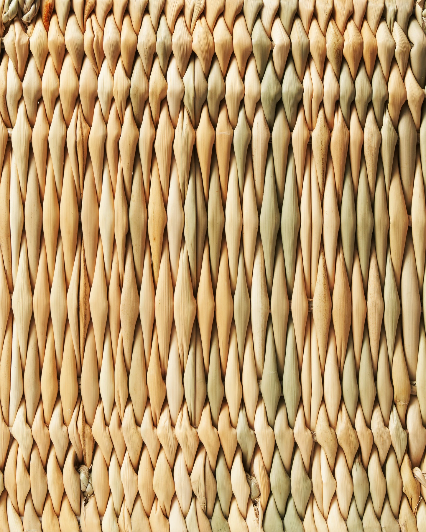 Basket Medium Bag