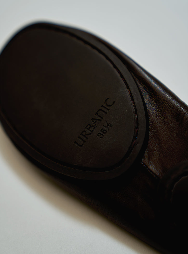 Courge Flat (Chocolate)